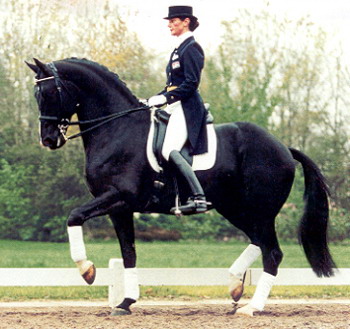 olympic horse