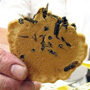 disgusting-cookie-yuck1.jpg
