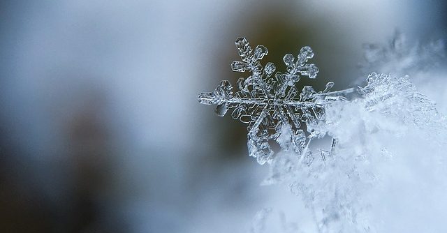 special snowflakes corporate