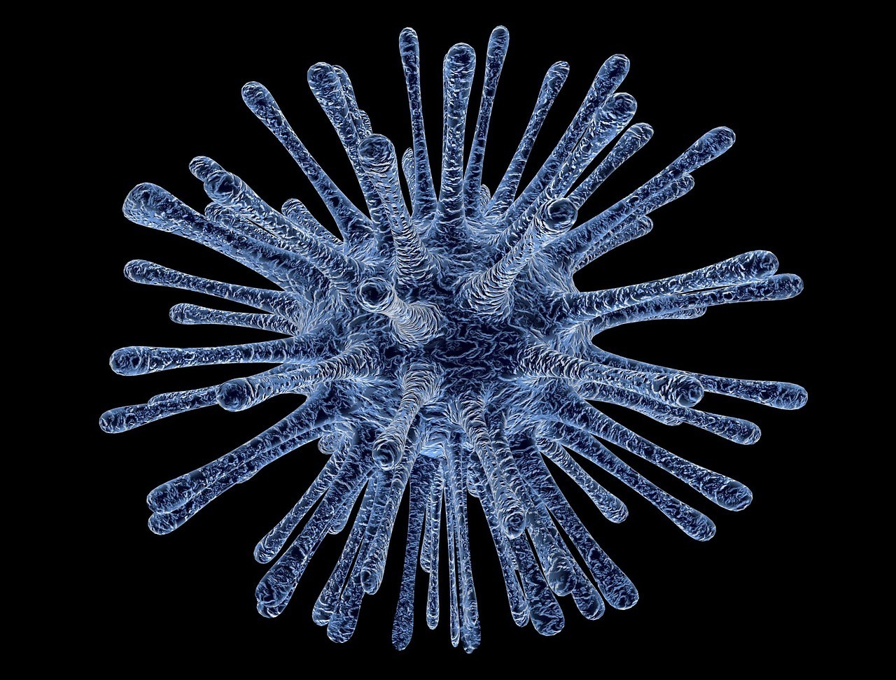 Microbes