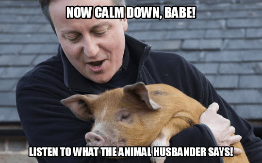 Piggate