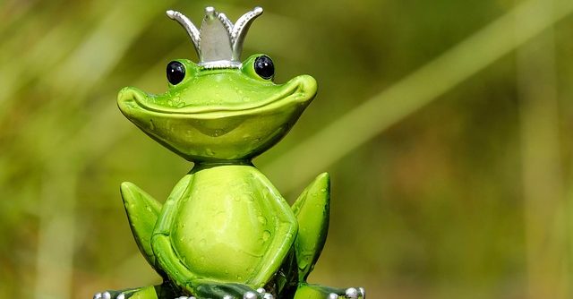 Silly funny frog