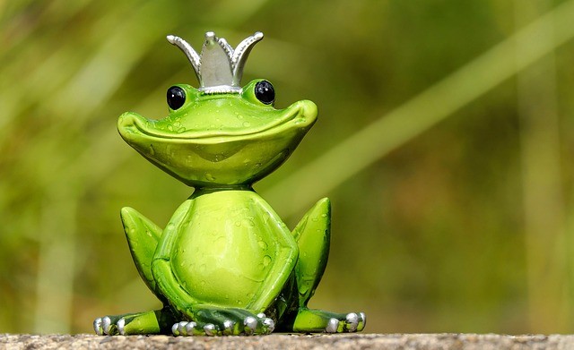 Silly funny frog